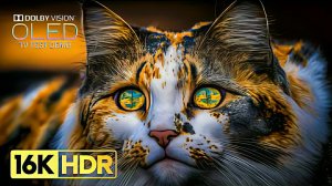 Невероятный мир