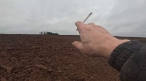 осенние приключения