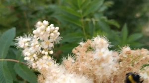 ВСПОМНИМ 🌞🌴🏄🎇ЛЕТО. **ПЕСНИ НА КАССЕТЕ**