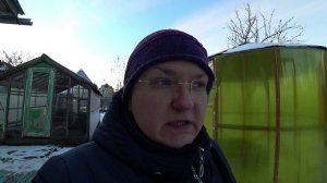 Как помочь птицам выжить зимой