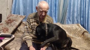 Владимир Владимирович @ Турбин @ Моя  Жизнь Кино @ Музей Псов