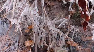 Тает первый снег