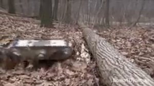 Boston Dynamics озвучка