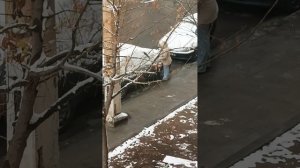 Первый снег в Алжире 🥶 Наш кот в шоке 😺 #algerie #setif #жизньвалжире #travel