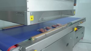 Вакуумная конвейерная машина VOLVAC W110C