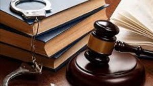 Тревожная хроника 22.11- 2025 г.