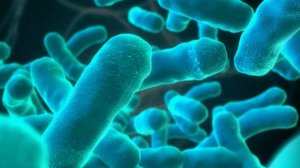 Листериоз при беременности