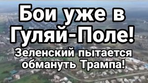 ТАМИР ШЕЙХ / БОИ В ГУЛЯЙ ПОЛЕ! ЗЕЛЕНСКИЙ ПЫТАЕТСЯ ОБМАНУТЬ ТРАМПА. новости сводки