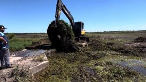 Гидравлический Экскаватор Чистит Плотину от Зарослей 📸