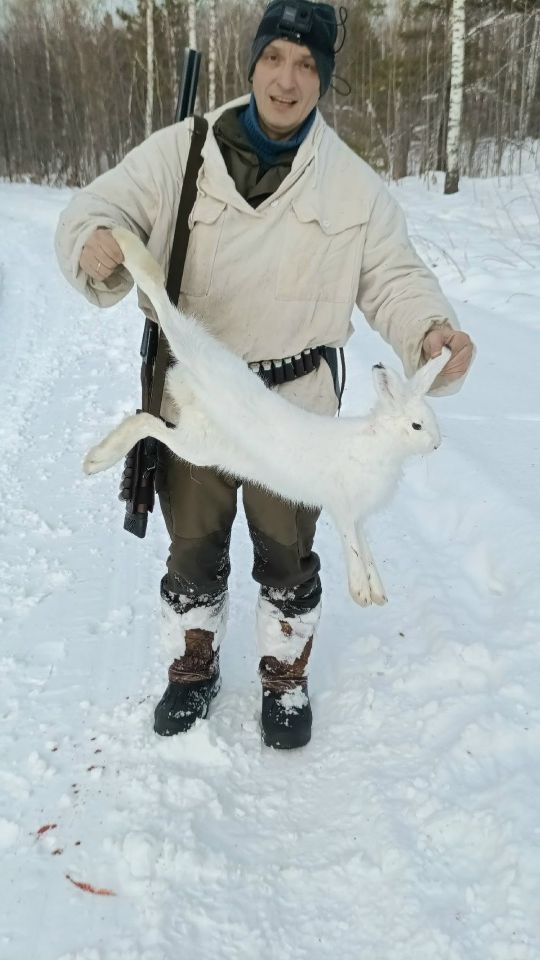 Заяц №3 №4 смотреть онлайн