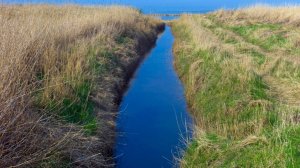 Мужчина изнасиловал и задушил девушку, а после скинул ее в дренажный канал