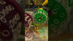 Обзор новых поставок