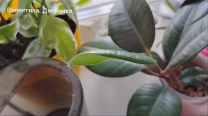 21.11.2025 Моменты дня- моменты жизни. Лайфстайл