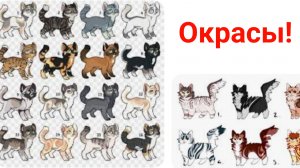 Окрасы моих котов истории на данный момент!