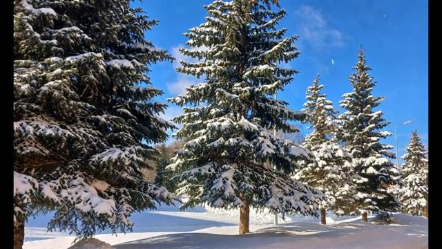 Новогодняя