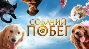 Собачий побег