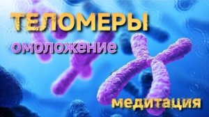 Теломеры — медитация омоложения