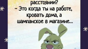 Анекдоты, юмор, статусы, приколы 😁