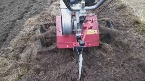 Лущение зяби мотоблоком