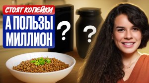 Эти 3 дешевых продукта неожиданно полезны для кишечника и мозга