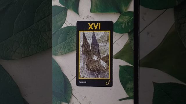 Для начинающих.Таро Манара.Старший аркан Башня.