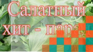 Салатный хит парад