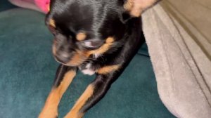 Всем самой доброй ночи и прекрасных снов.