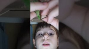 Моя 2 трансляция