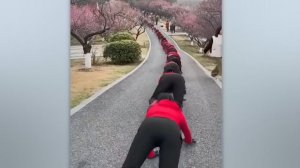 Как Такое Возможно? Вы не Поверите, но Это Снято на Видео!!!