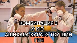 Комбинация 3, 9 кю Ашихара-каратэ