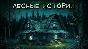 Мистика.  ДОЛГ -  истории про деревню и лес.