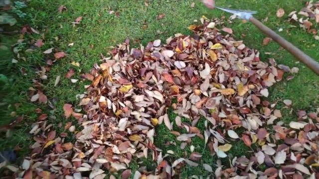 19-Дача.. Осень.. работы все больше😂