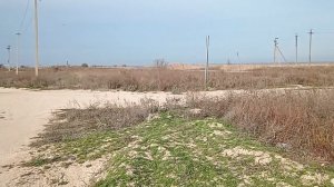 22 ноября. Отдыхаем. Ловится бычок.