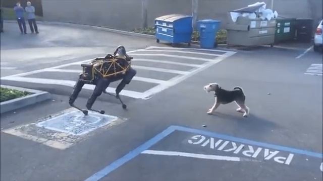 Boston Dynamics озвучка