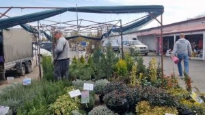 НОВОРОССИЙСК.Западный рынок.Небольшой обзор.