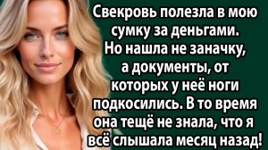 Свекровь залезла в мою сумку за деньгами и нашла документы. Через час она рыдала. Слушать рассказы
