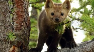Ловись рыбка большая и маленькая....!😆