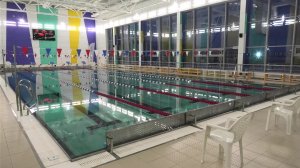 Областные соревнования по плаванию. День 2