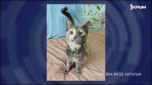 Клуб Шико. Выпуск от 22.11.25