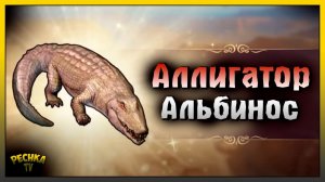 Уникальный питомец Аллигатор Альбинос | Westland Survival вышел в STEAM | Westland Survival