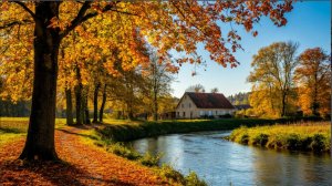 FanWars | Эйндховен для Андрея )))