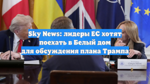 Sky News: лидеры ЕС хотят поехать в Белый дом для обсуждения плана Трампа
