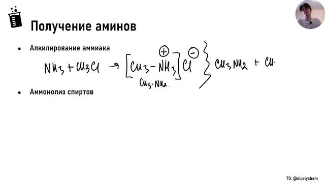 АМИНЫ | Вся инфа за 40 минут