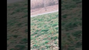 Последний тёплый осенний день. Красивый закат. Банный чан с подогревом.