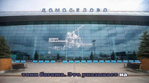 Baza: в Домодедово более 300 человек ждут свой багаж несколько часов