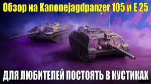 Обзор на Kanonejagdpanzer 105 и Е 25 - Для любителей постоять в кустиках самое то #tanksblitz