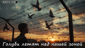 Голуби летят над нашей зоной