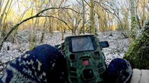 Прогулки по лесу.  Снимаю фото ловушку. Последняя поездка в лес.