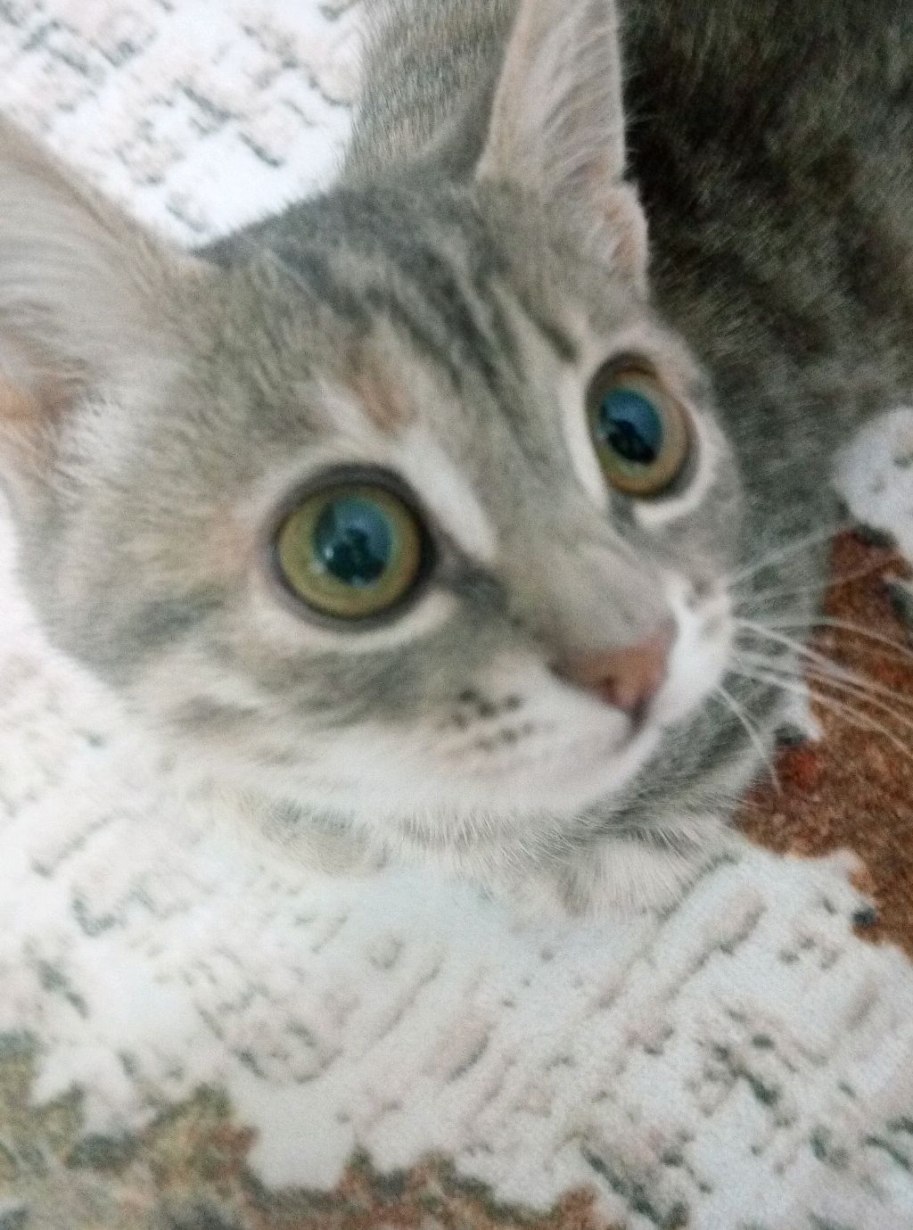 Маша Вершинина красится смотреть онлайн