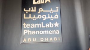 Что посмотреть в Абу-Даби? TeamLab Phenomena Abu Dhabi